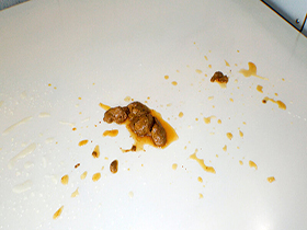 伝説の本物素人がまたスカトロAVに出ちゃいました　3日間の自然排便　サンプル画像20